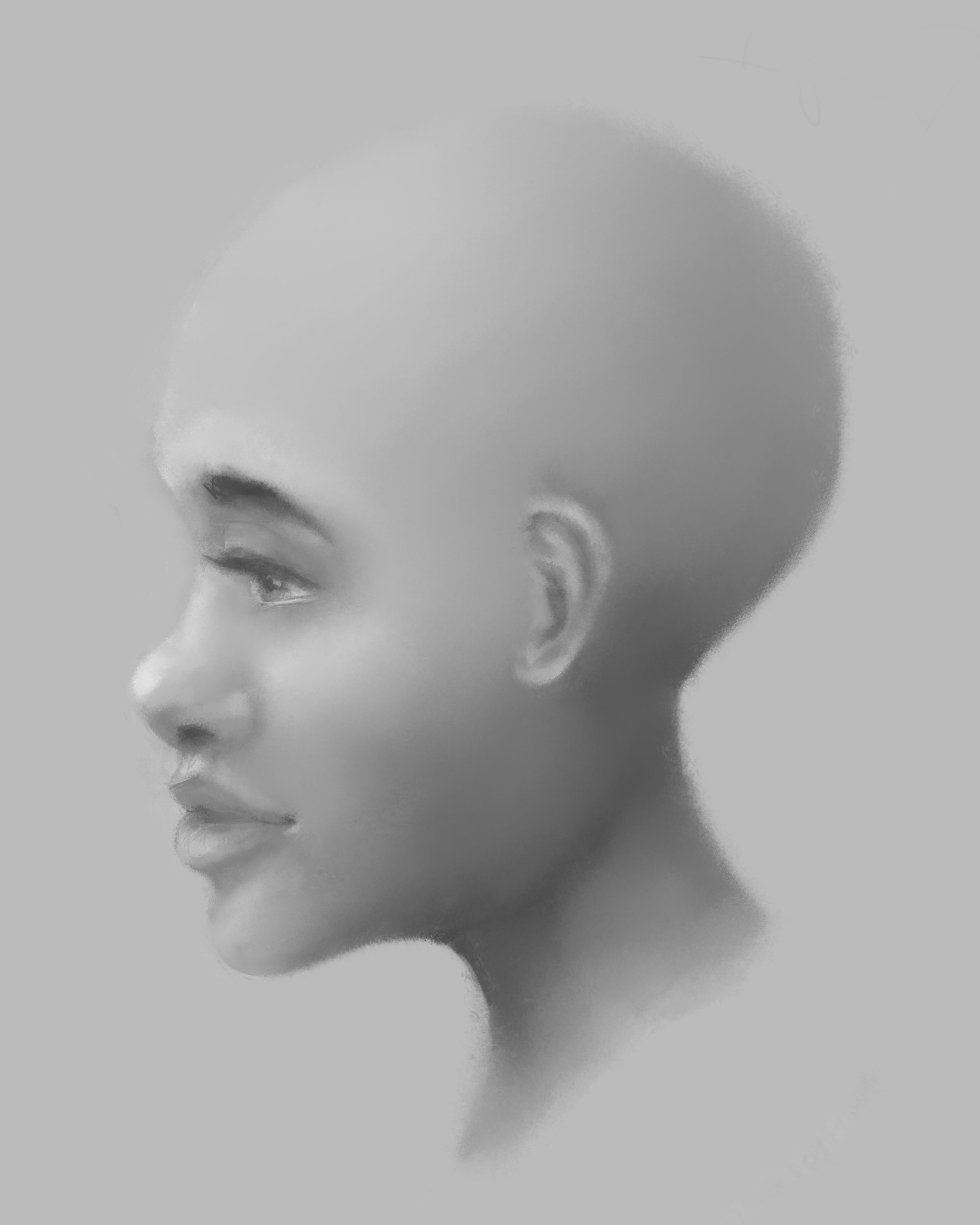 Profile Drawing